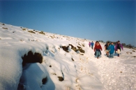 Gavin Fuller - OODS on a snow-covered Dartmoor track, 1991