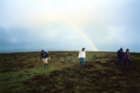 Gavin Fuller - Windswept OODS on Cosden Hill, 1990